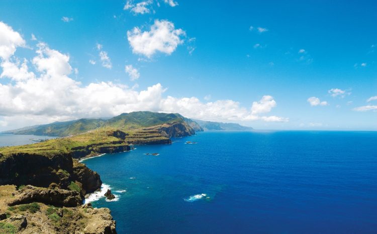 statusflamingo rent a car estradas madeira Caniçal