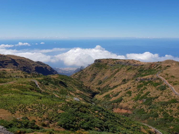 statusflamingo rent a car estradas madeira poiso pico Aeeiro