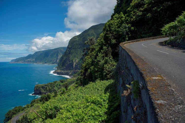 statusflamingo rent a car estradas madeira porto moniz